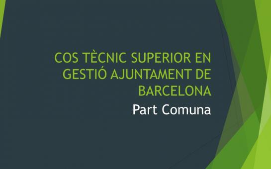 Picture of Tècnic Superior de Gestió del Ajuntament de Barcelona - Part Comuna