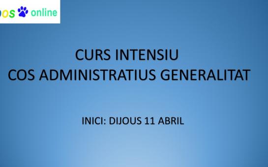 Picture of CURS INTENSIU COS ADMINISTRATIUS GENERALITAT